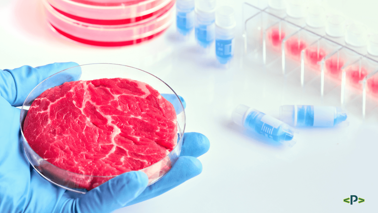 carne de laboratório