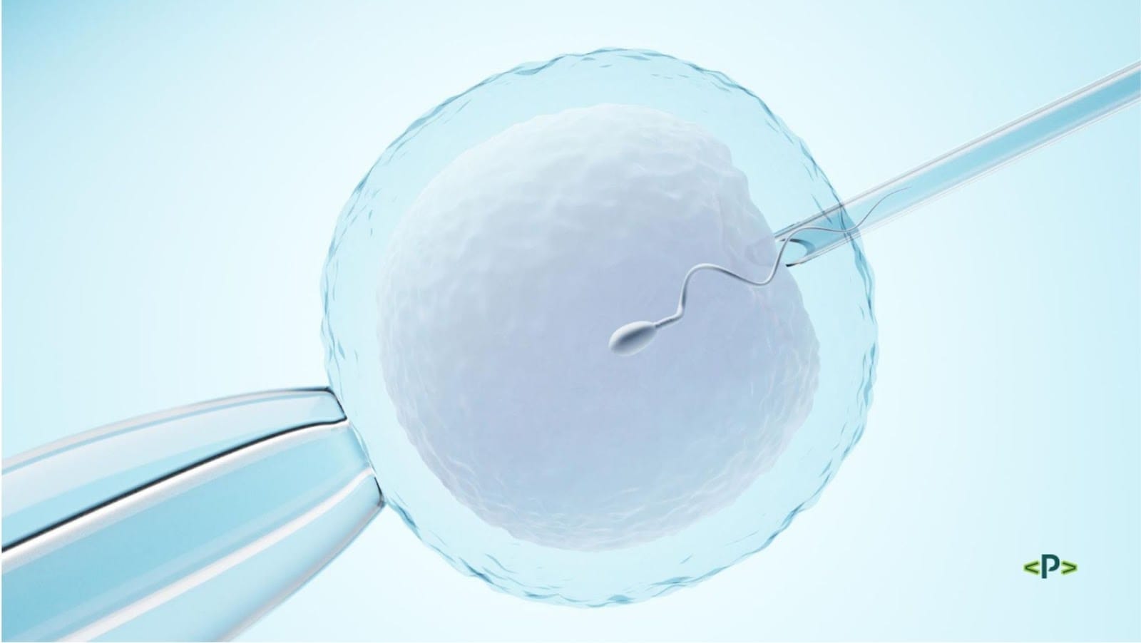 Vantagens e resultados da inseminação artificial em bovinos