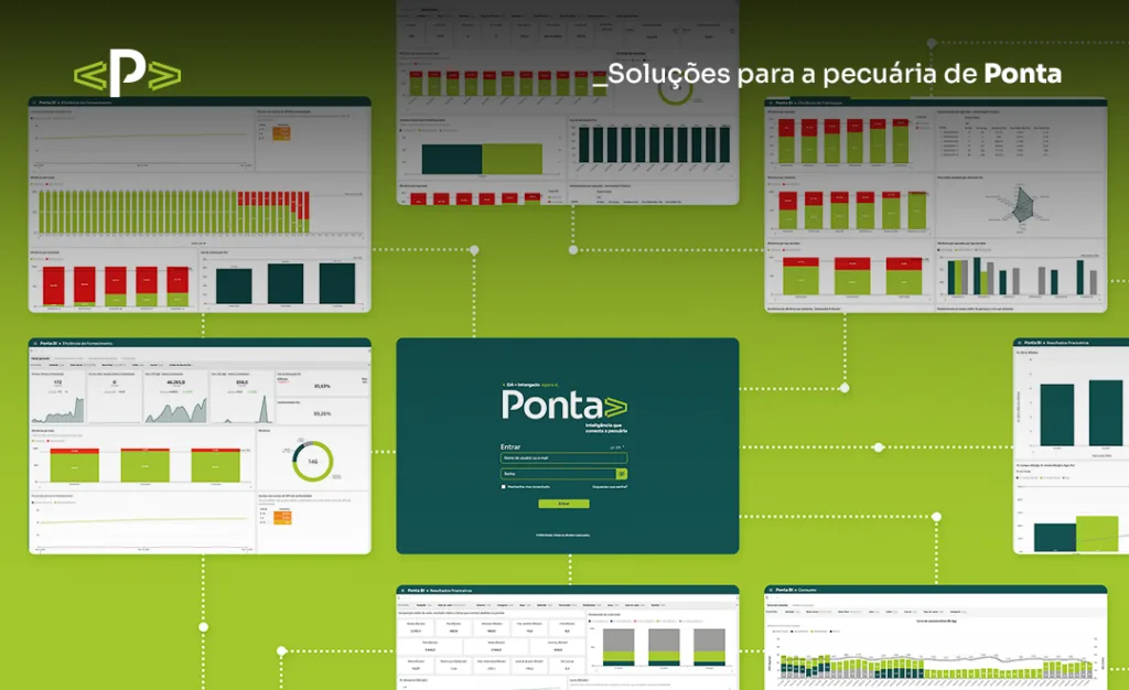 software de gestão ponta agro