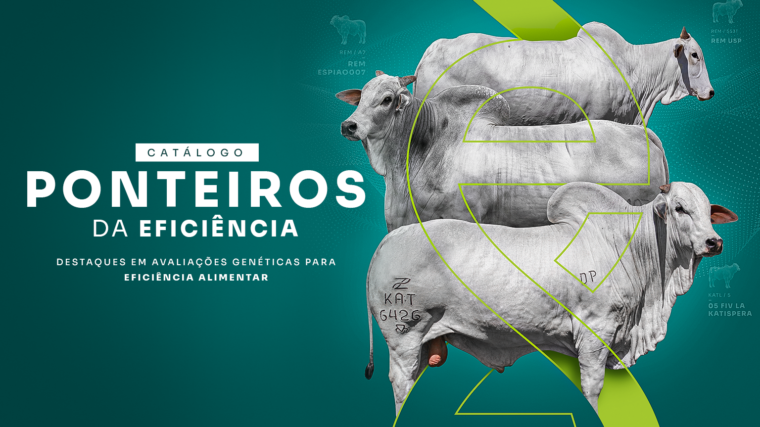 -CATALOGO-PONTEIROS