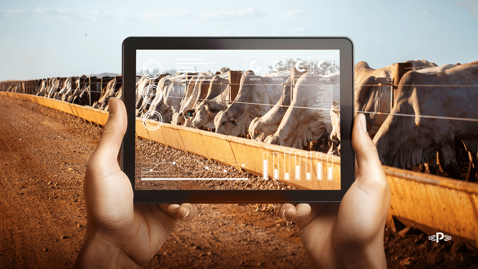 transformação digital na pecuária