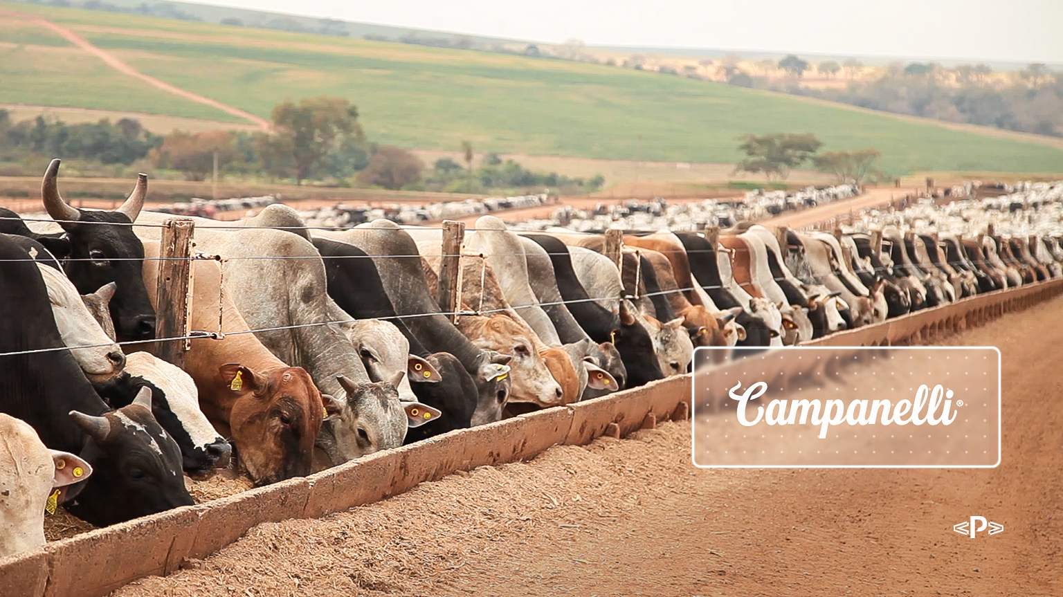 CIC-Campanelli-e-Ponta-unem-tecnologia-e-dados-para-elevar-a-pecuária.png