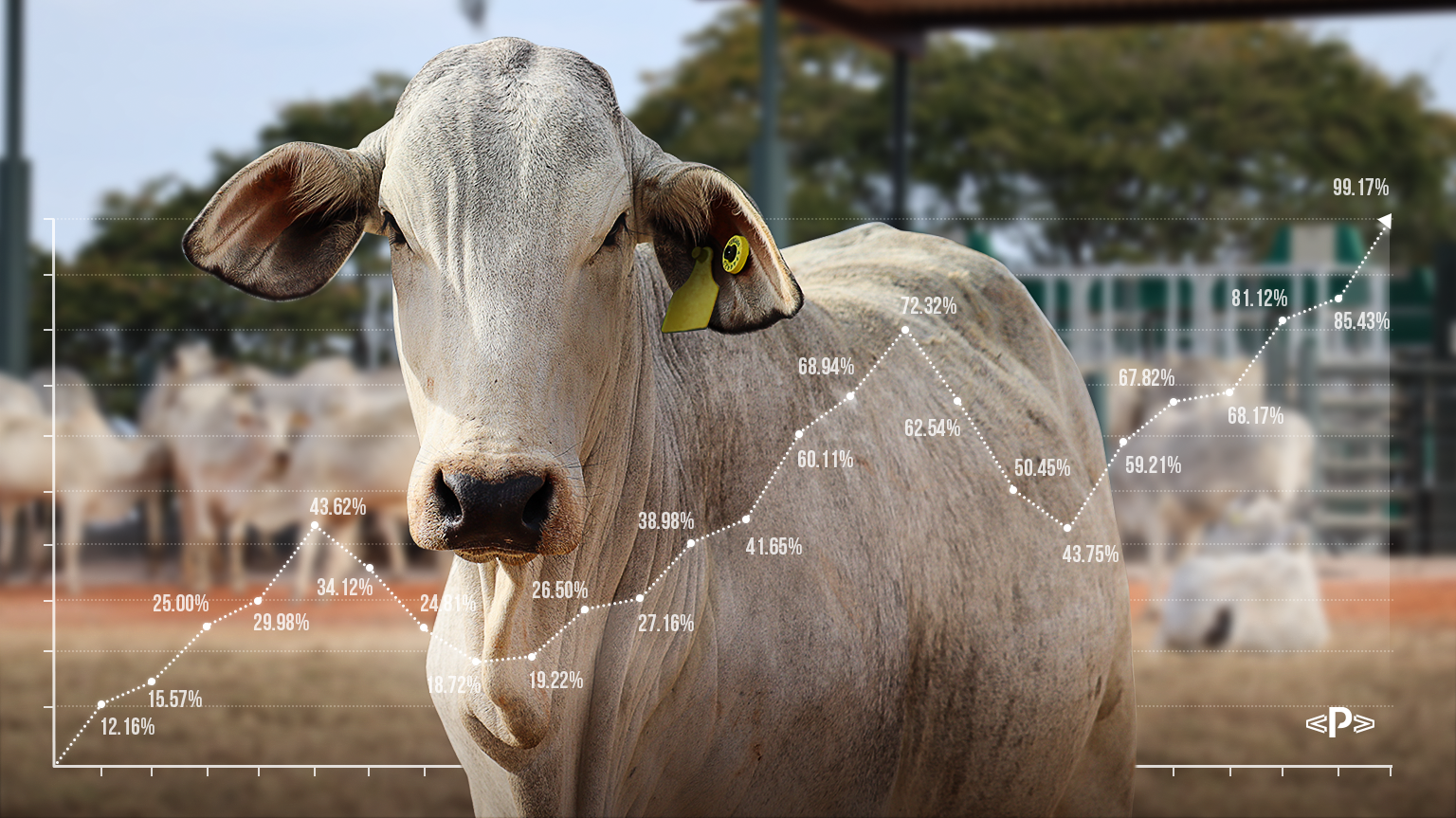 eficiência alimentar custo ou vantagem