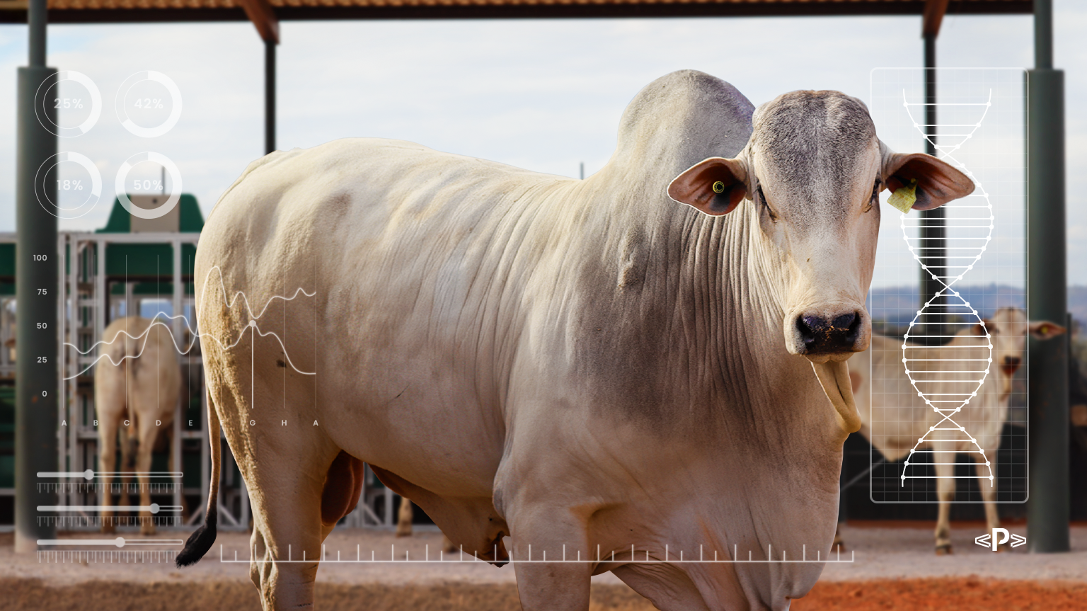 Eficiência Alimentar em bovinos