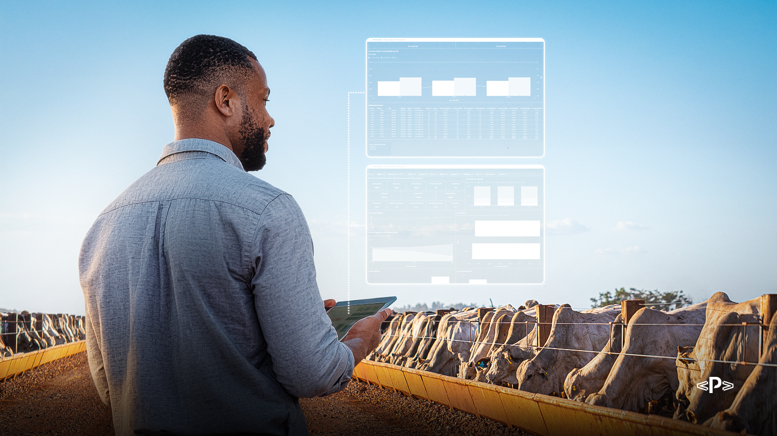 Auditoria em confinamento: como garantir que os números do curral batem com os registros contábeis 