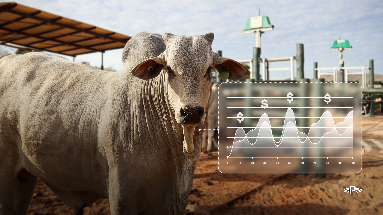 ponto ótimo de abate