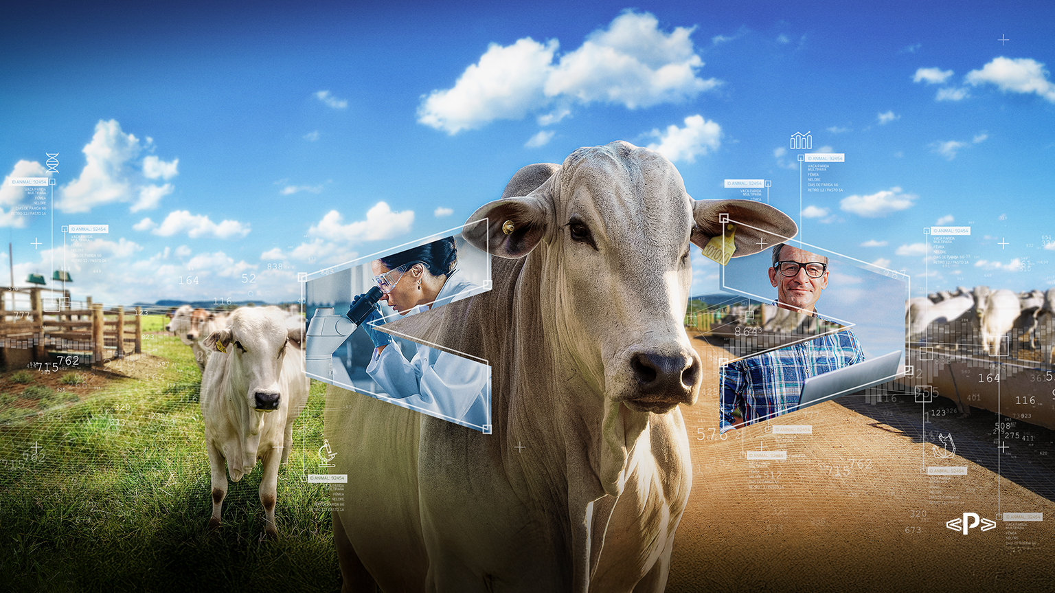 TECNOLOGIA PARA PECUÁRIA