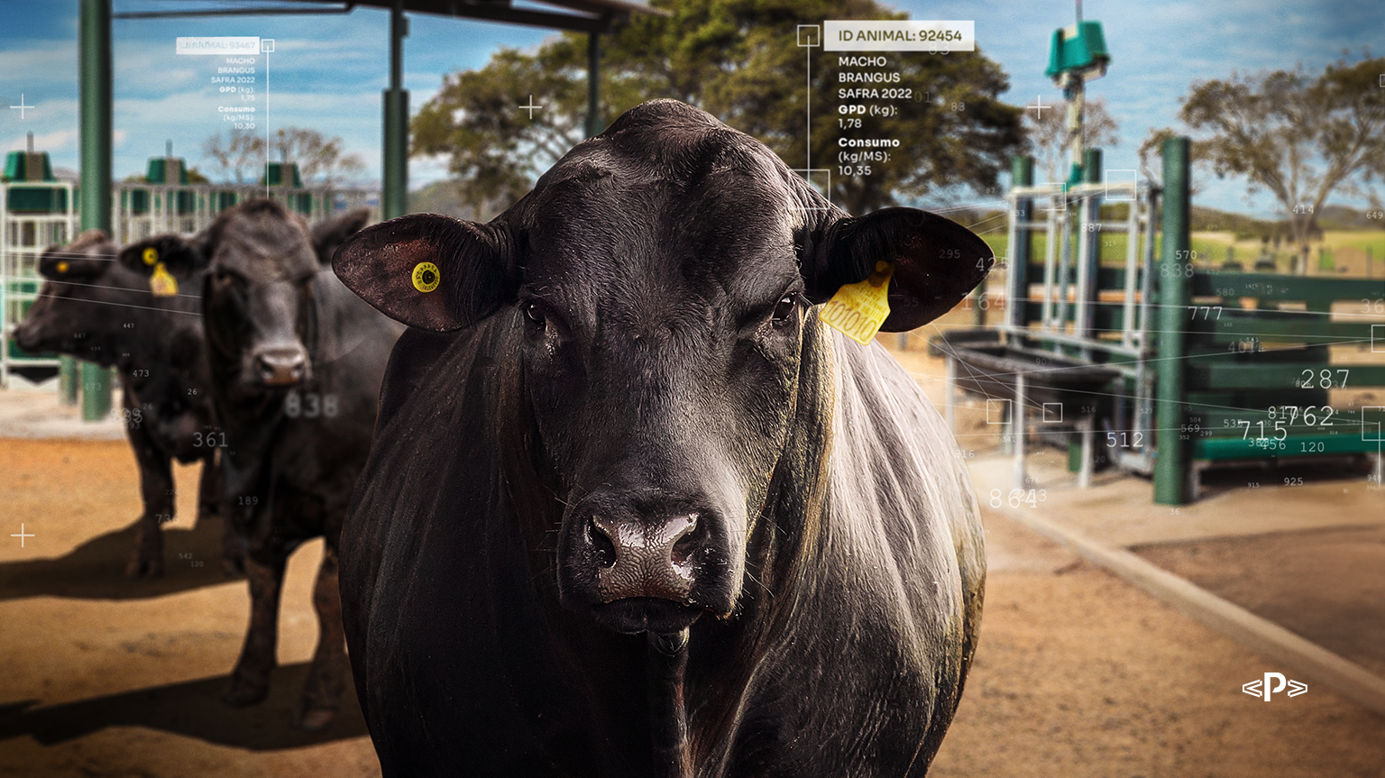 Eficiência Alimentar na raça Brangus