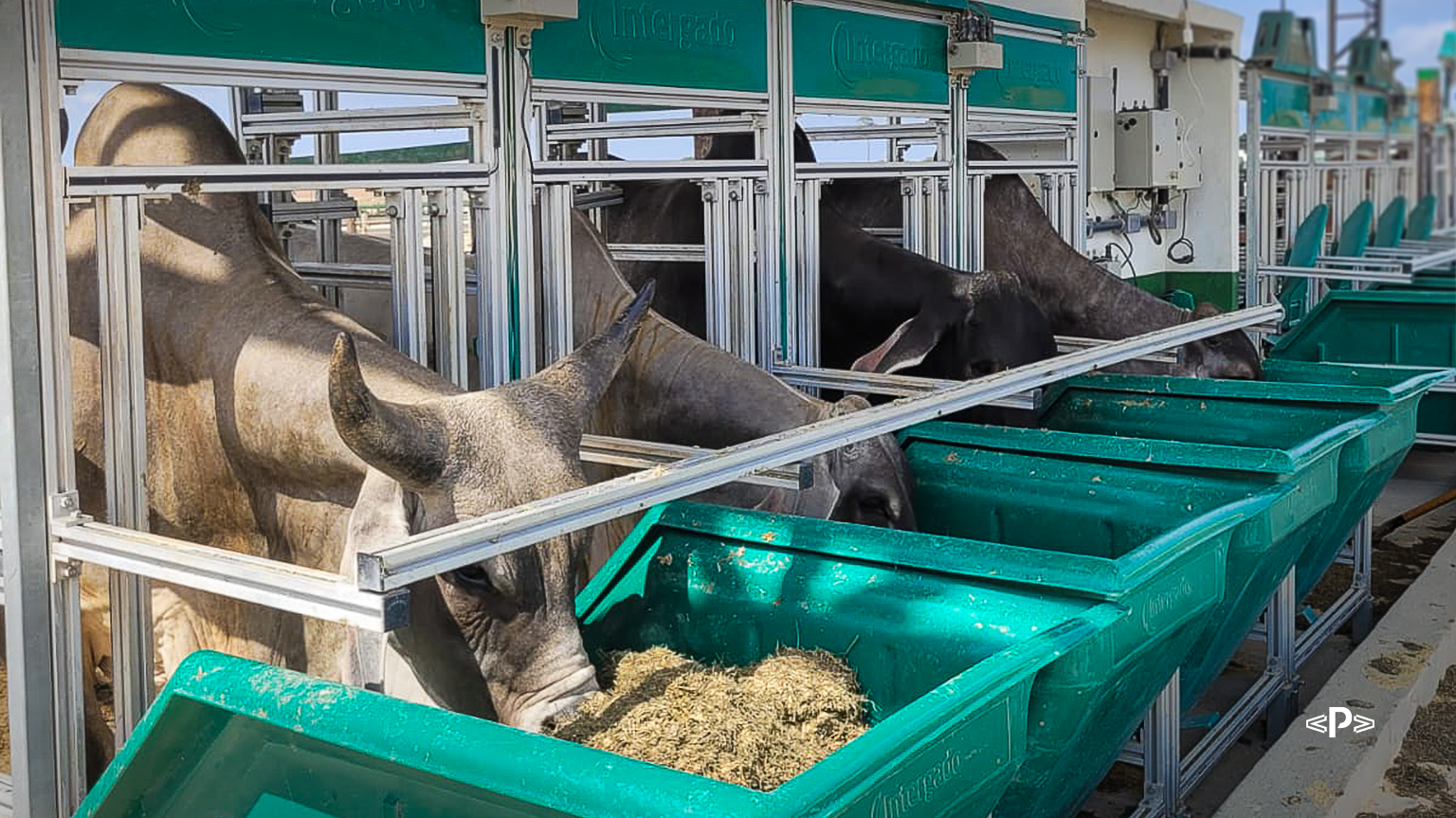 pesquisa com pecuária de precisão