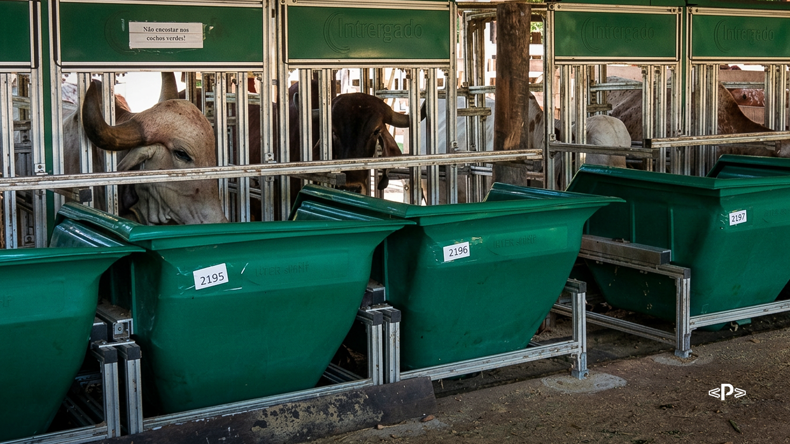 eficiencia alimentar em vacas