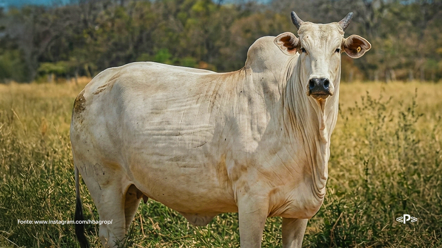 eficiência alimentar