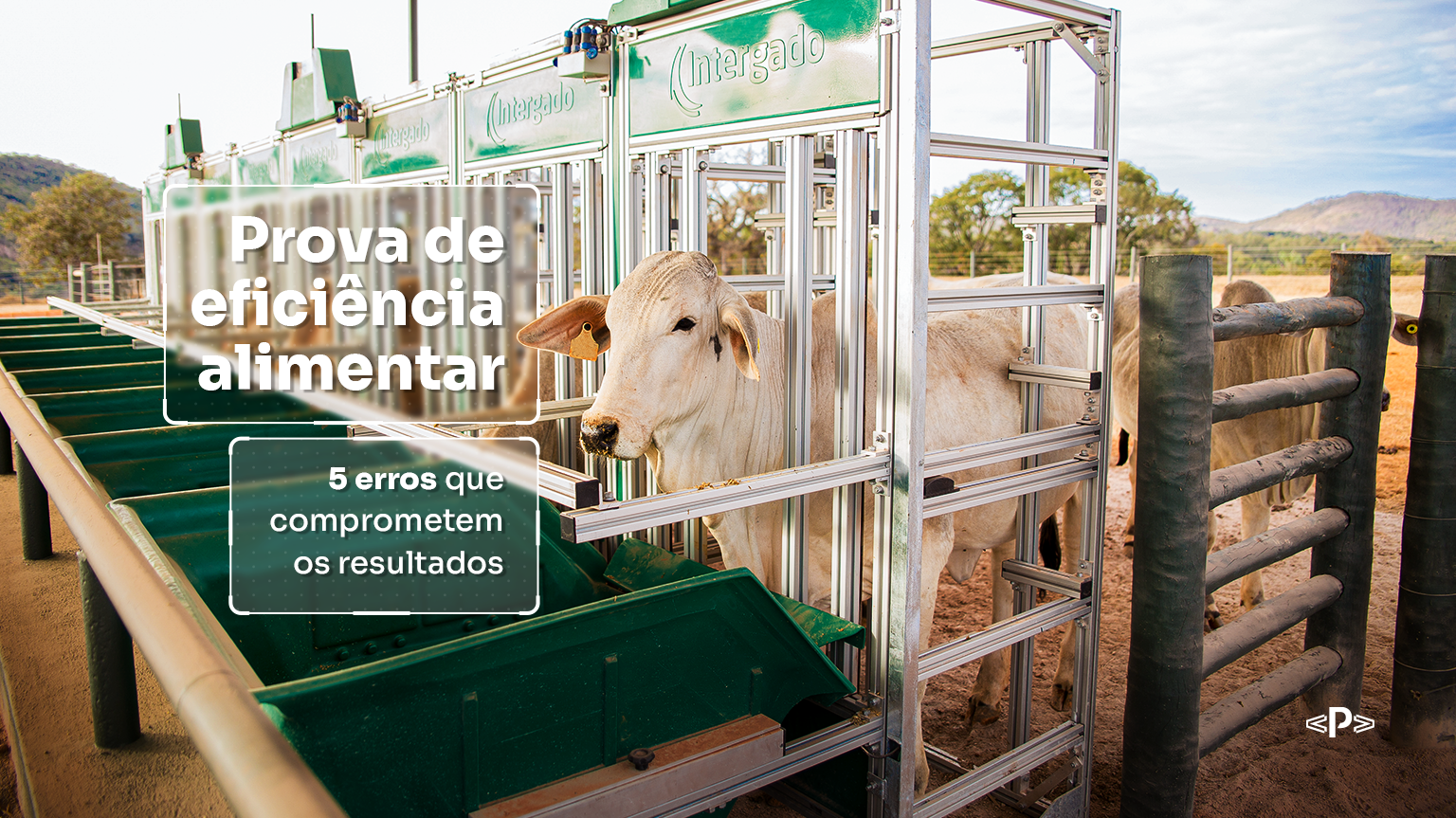 prova de Eficiência Alimentar