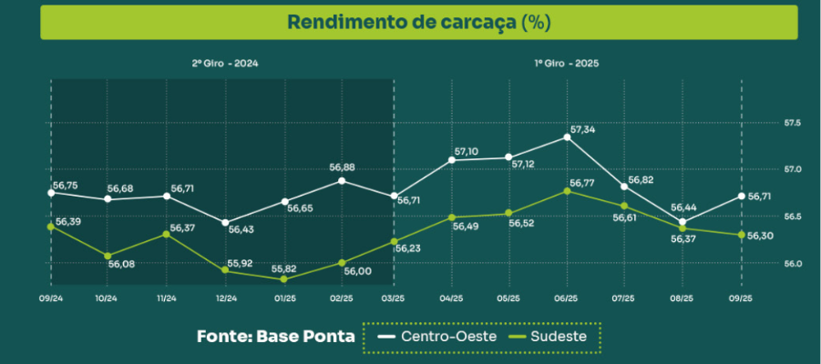 Rendimento de carcaça: o que é, como calcular e por que ele define o seu lucro